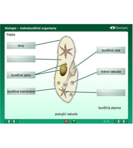 iDoctum - Interaktivní vyučovací software Biologie - Svět zvířat CZ