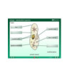 iDoctum - Interaktivní vyučovací software Biologie - Svět zvířat CZ