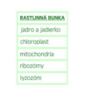 Veľká magnetická rastlinná bunka