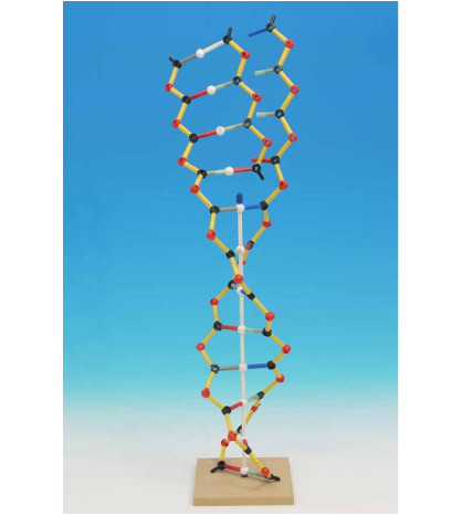 Stavebnica Orbit CW - Model DNA/RNA 12 báz